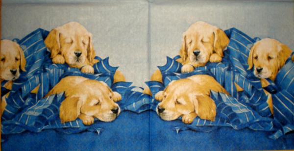 057 Dogs - 3-ply - Paper Design
